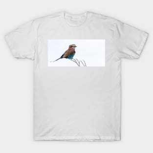 Lilac-breasted roller bird. T-Shirt